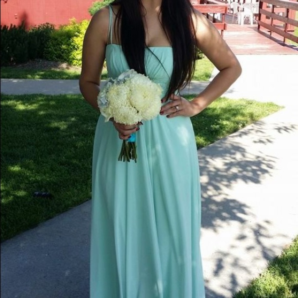David’s Bridal Bridesmaid dress
